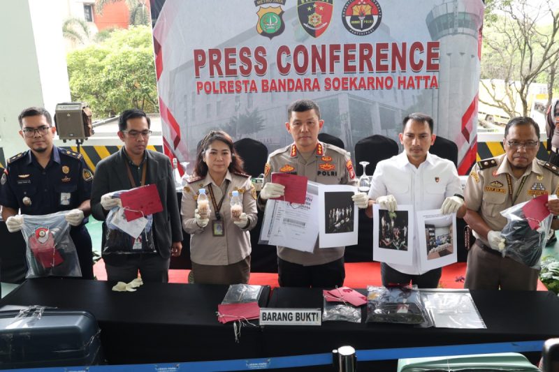 Polresta Bandara Soetta Gagalkan Penyelundupan Benih Lobster Senilai Rp 9,2 Miliar